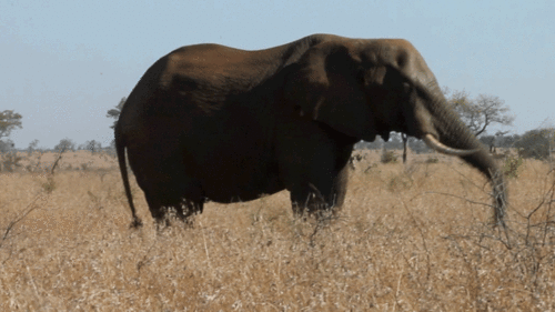 tumblr_mftnxgITb71r0mfwwo1_500