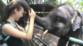 CONTINU, PLU VITE, PLU FOR