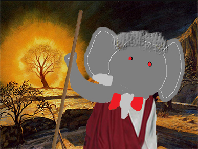 babor buisson ardent